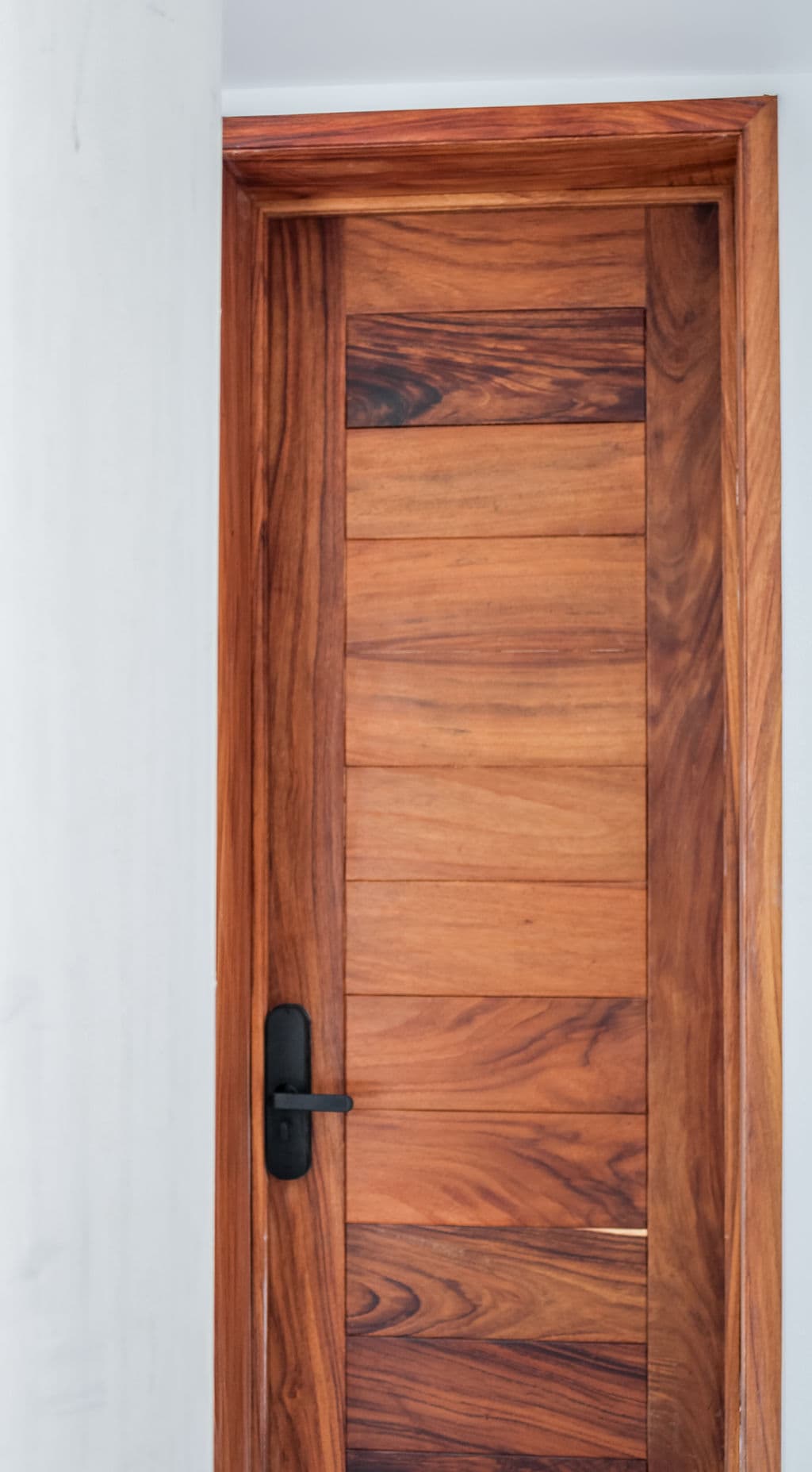 High-Security Parota Doors “Valle Real” — project photo