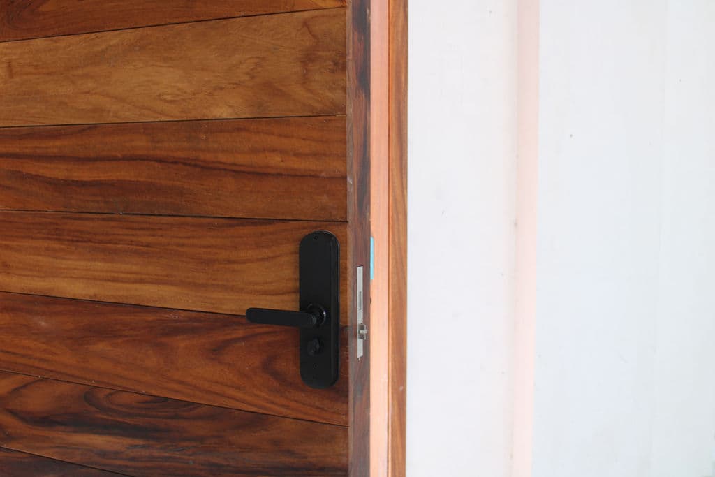 High-Security Parota Doors “Valle Real” — project photo