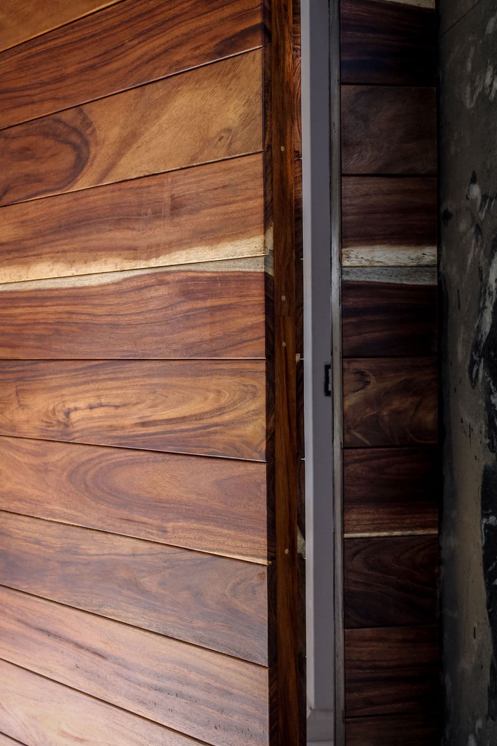 High-Security Parota Doors “Valle Real” — project photo