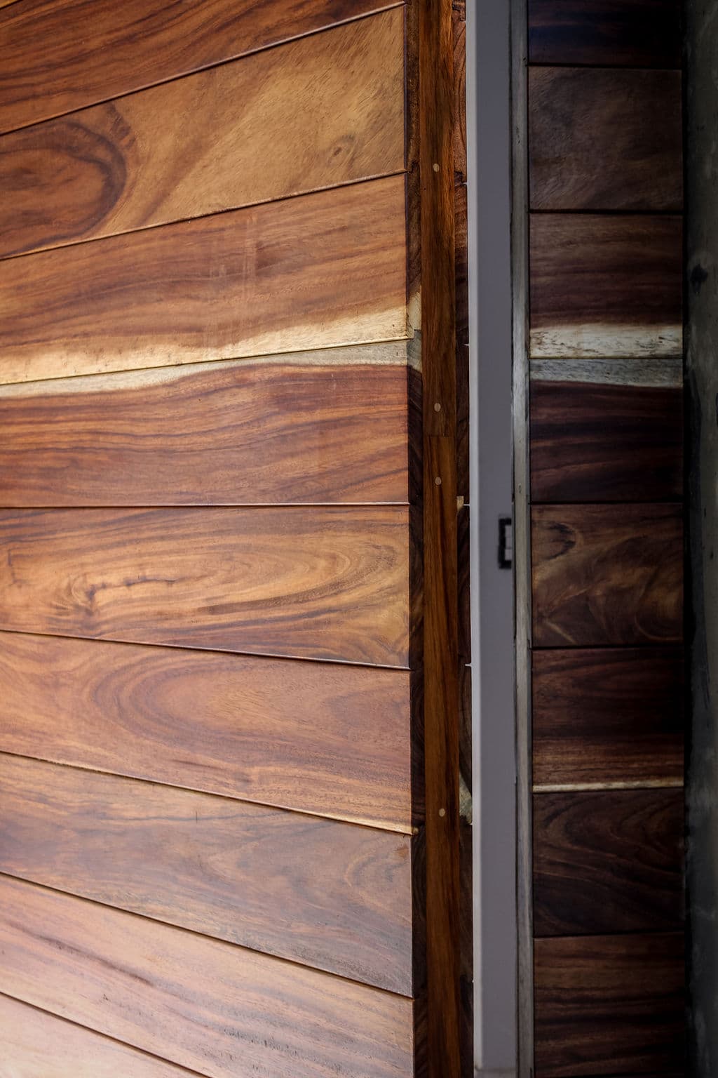 High-Security Parota Doors “Valle Real” — project photo